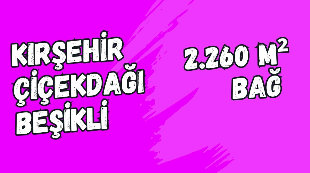 KIRŞEHİR ÇİÇEKDAĞI BEŞİKLİ KÖYÜ 2.260 M² BAĞ SATILIKTIR. - KIRŞEHİR ÇİÇEKDAĞI fotoğraf 8